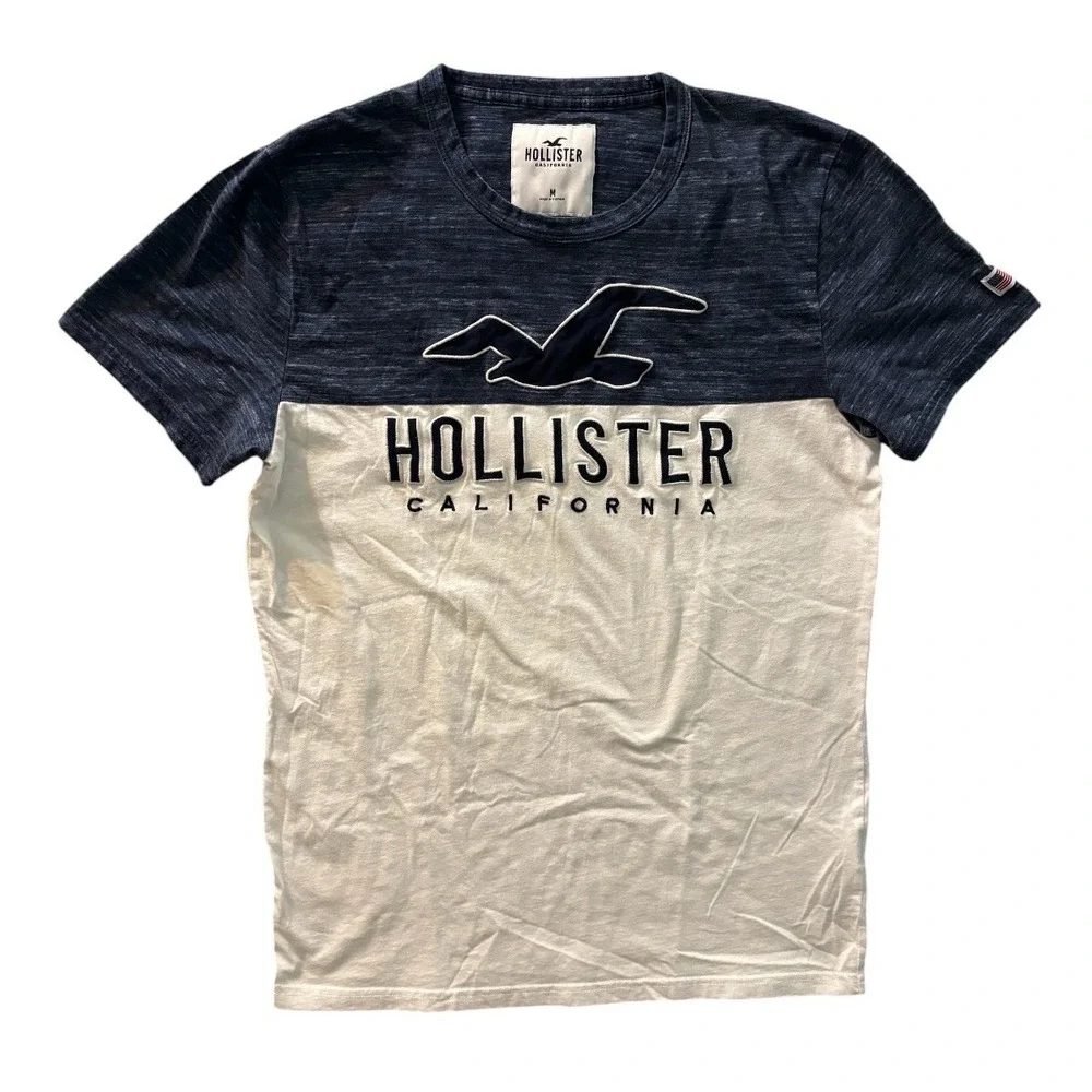 Hollister California Large Seagull Logo T Shirt Mens M Blue White Colorblock Tee